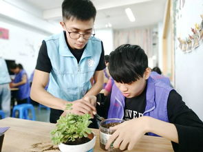 定格社工温度 聚焦服务瞬间——首期摄影扩印服务展能活动正式启动